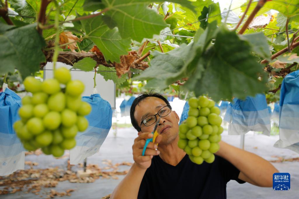 皇冠游戏名
